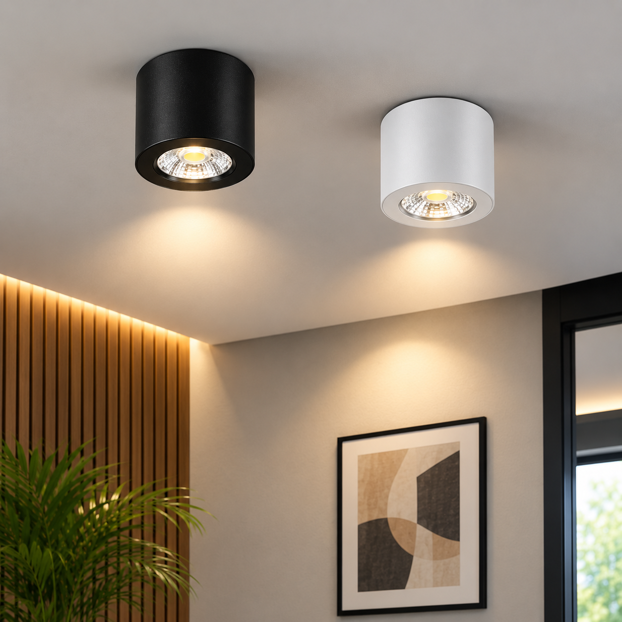 3W DOVE LED Surface Downlight – Black & White | 160° Beam Angle